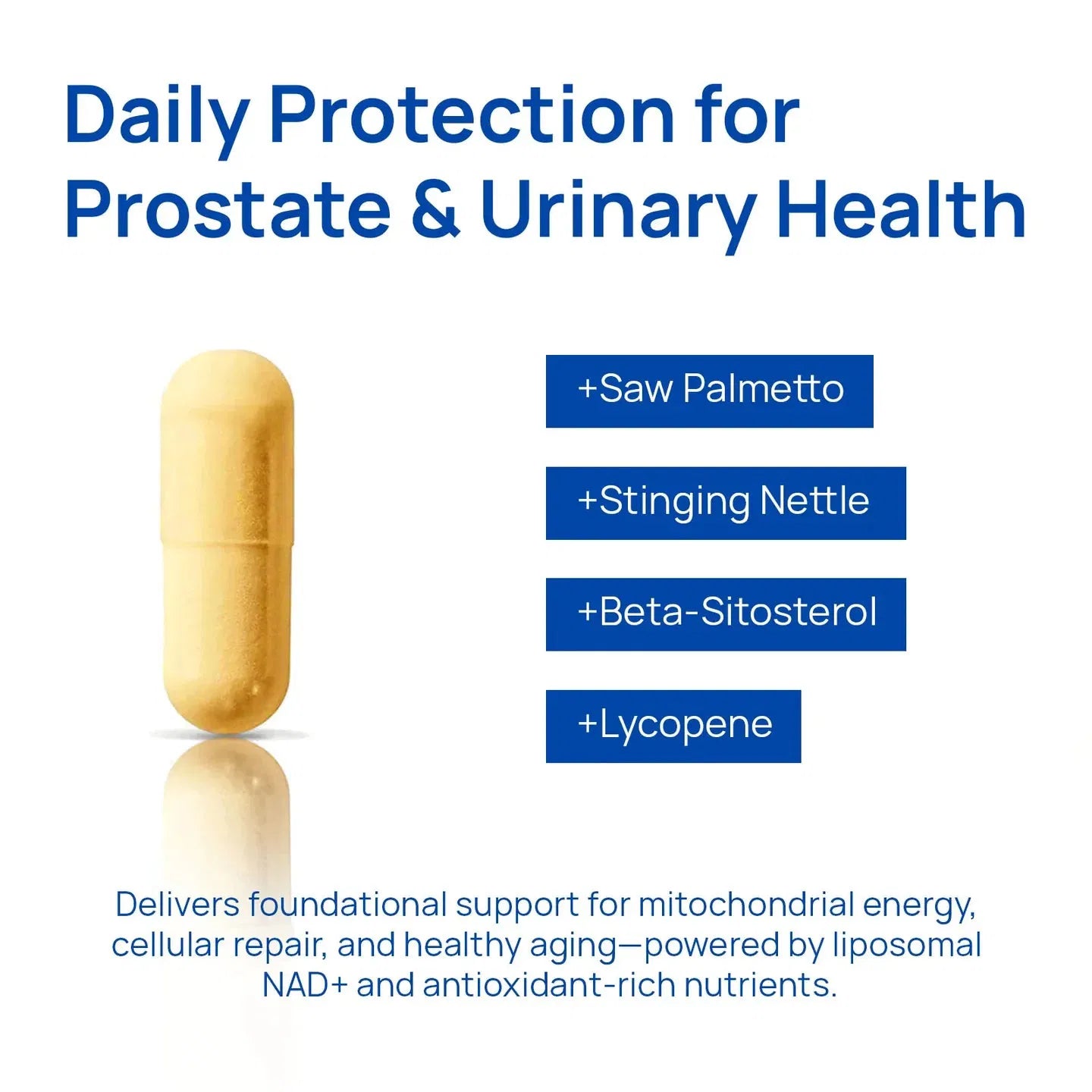 Vantique NAD+ Supplementfor Men