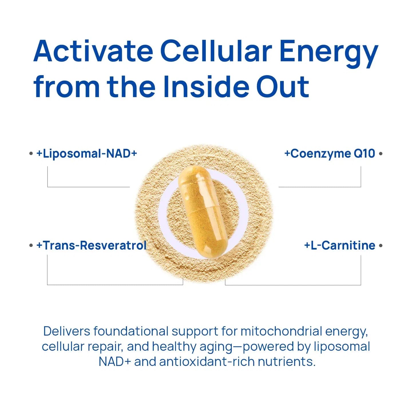 Vantique NAD+ Supplementfor Men