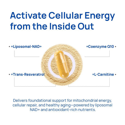 Vantique NAD+ Supplementfor Men