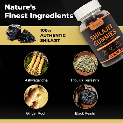 Diaryouth Pure Himalayan Shilajit Gummies FDA·GMP·HACCP·HALAL Certified |Testosterone Supplement for Men | Organic,Non‑GMO,100% Pure & Natural— 60 Capsules