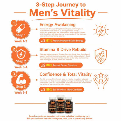 Himalayan Shilajit Male Vitality Gummies, 60 Count