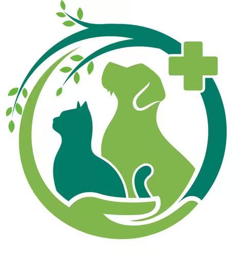 Support Animal Rescue🐾